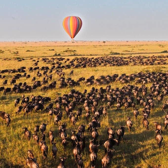 Hot air balloon safari