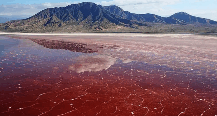 lake natron