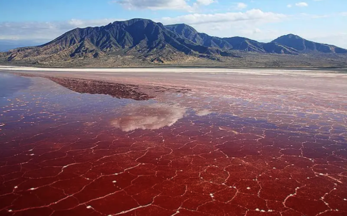 lake natron