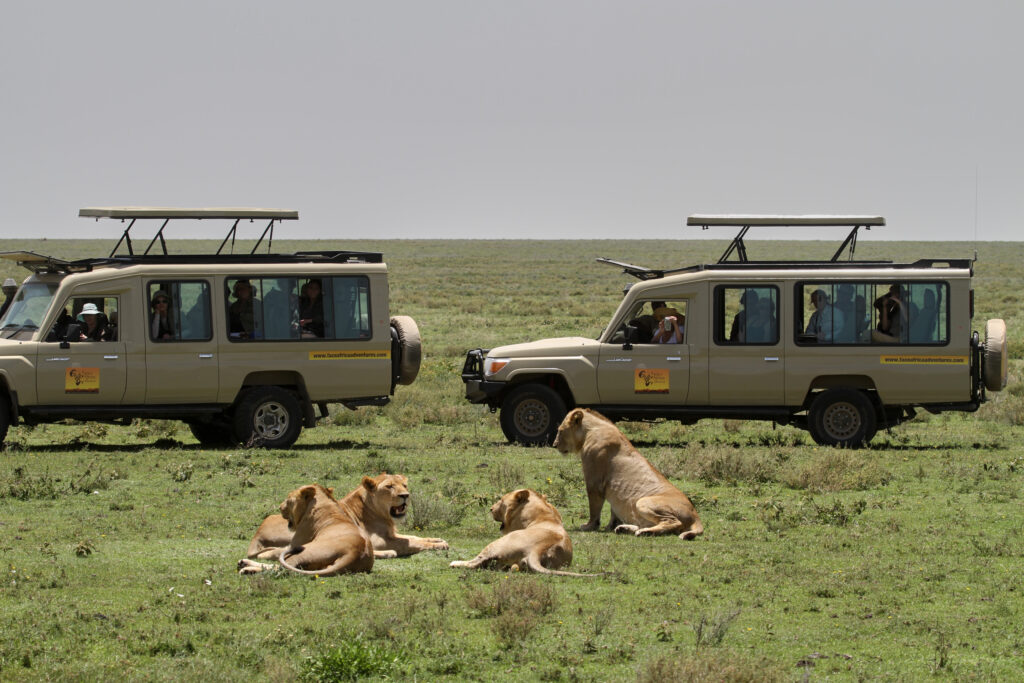 ngorongoro