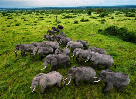 Queen Elizabeth National Park