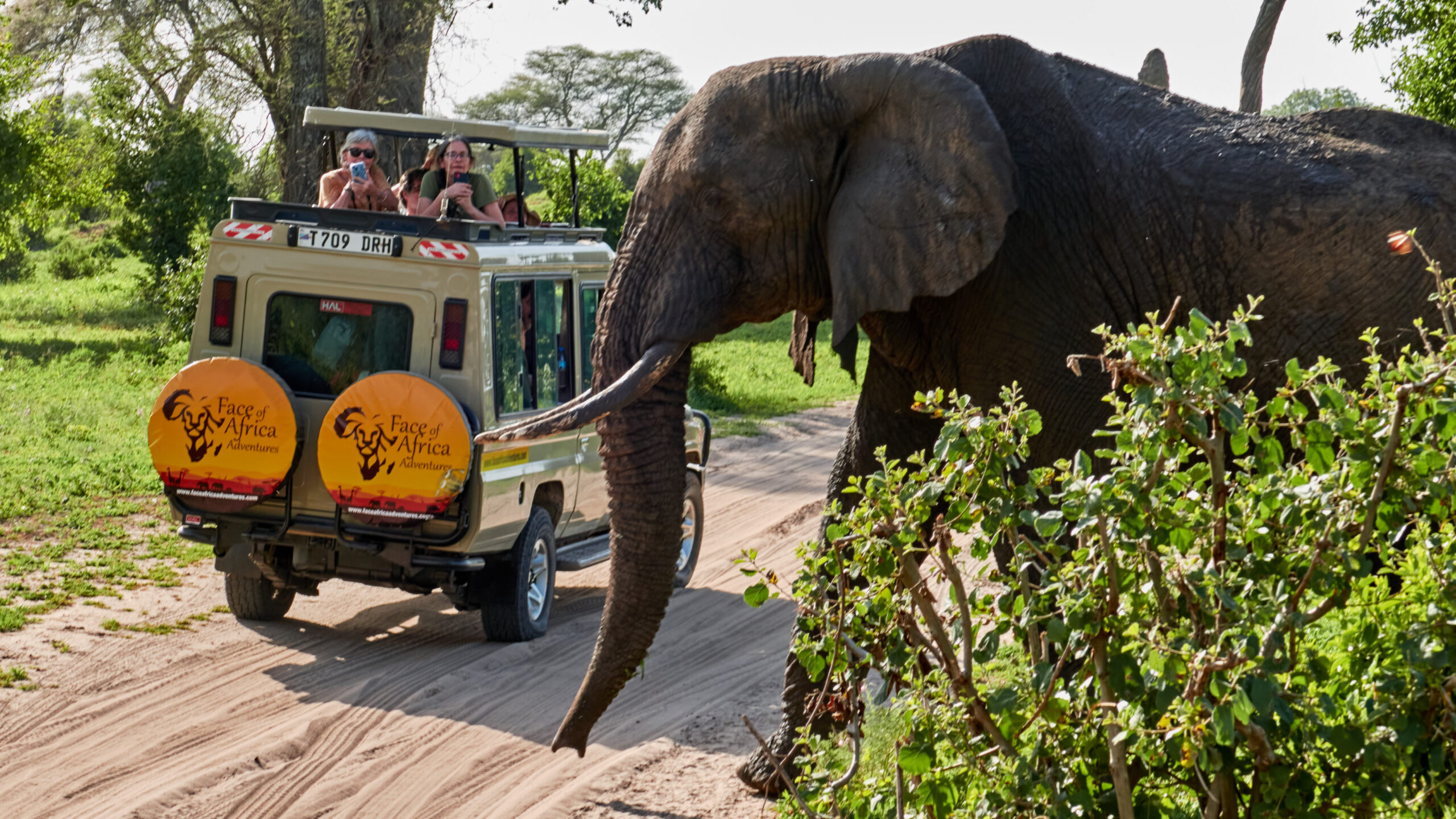 Tanzania Travel Safety in 2025: A Guide by Face of Africa