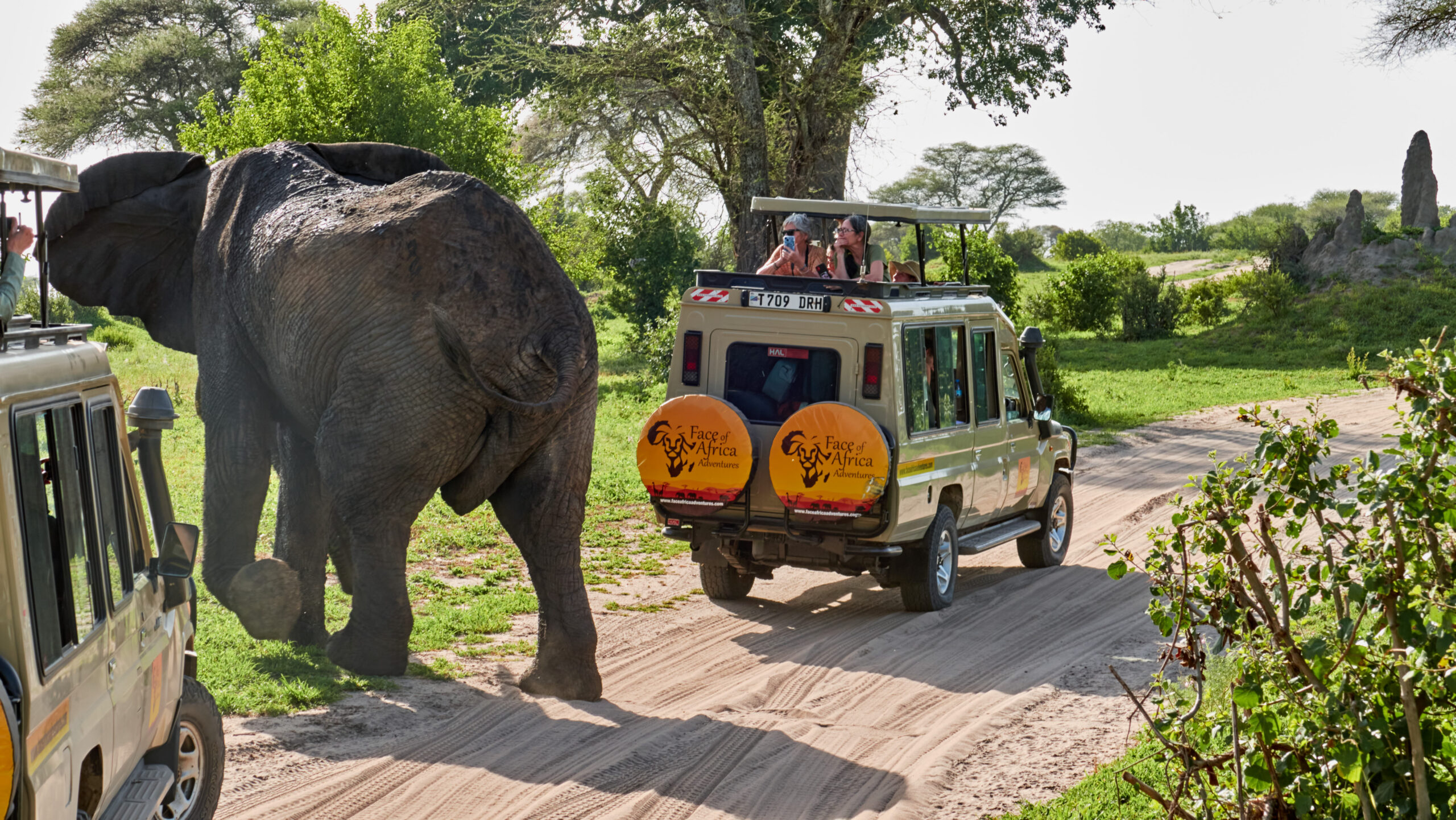 Tanzania Safari Tours