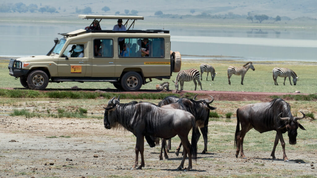 Tanzania Safari Tours for the Great Migration 