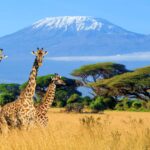 best time to climb mount kilimanjaro