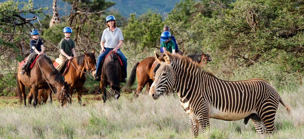 Kenya Wildlife Safari