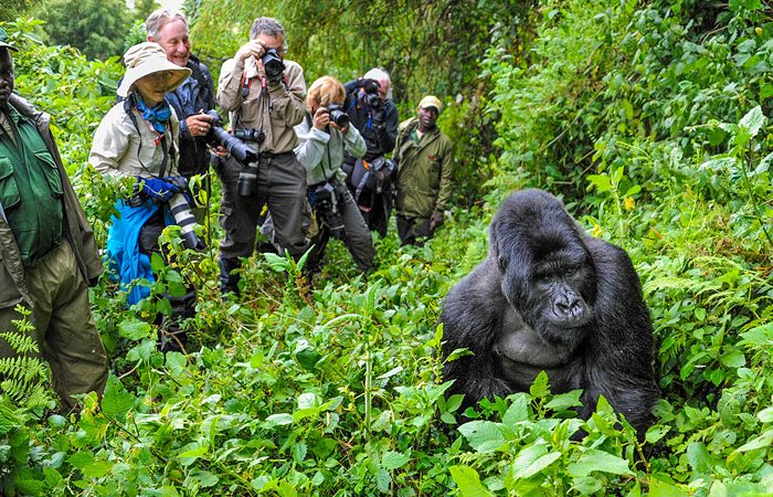 Bwindi National Park