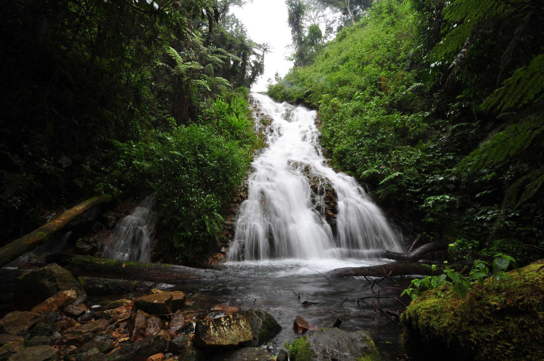 Bwindi National Park