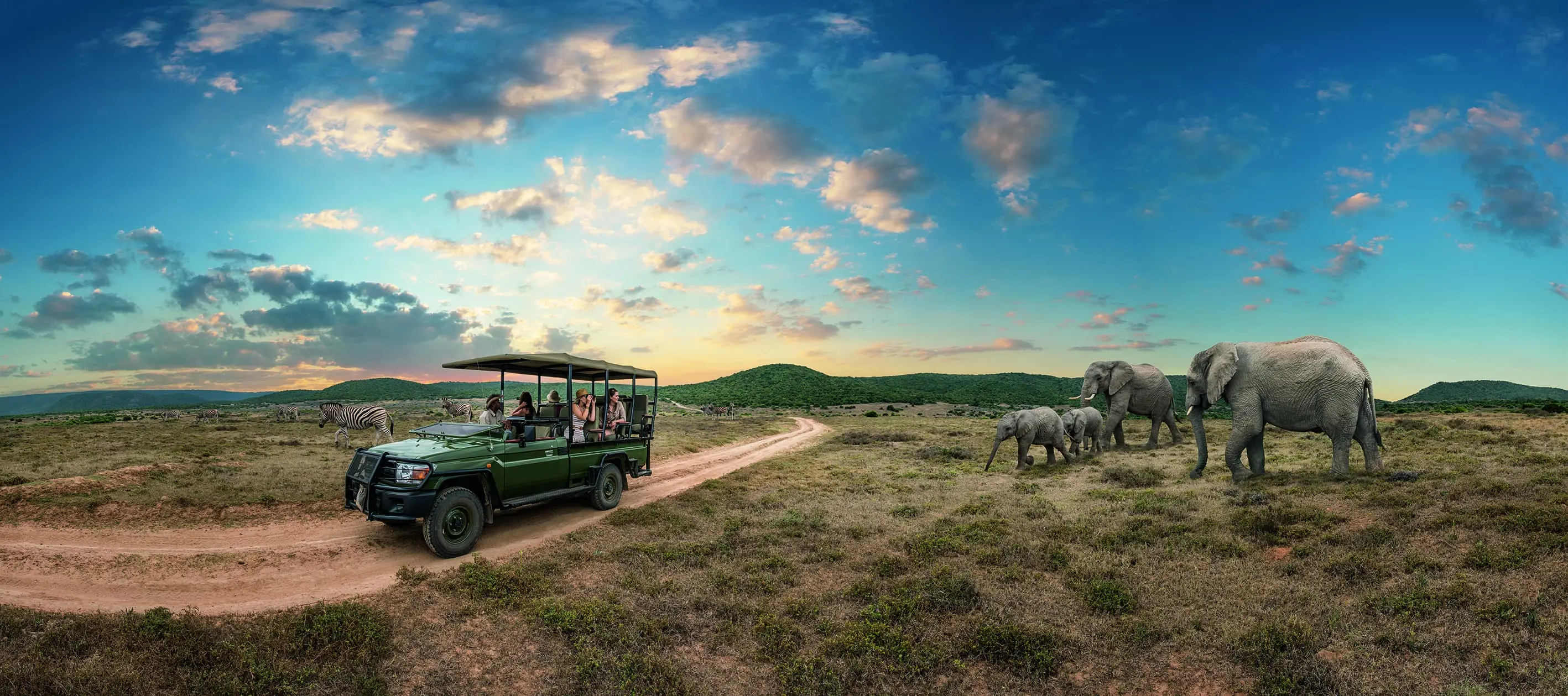 South Africa Safari