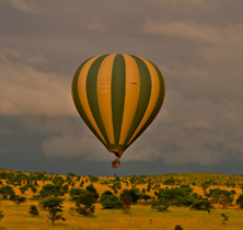 Luxury Safari in Tanzania