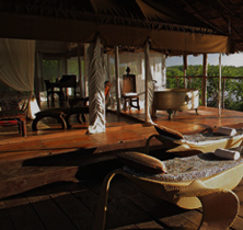 Luxury Safari in Tanzania