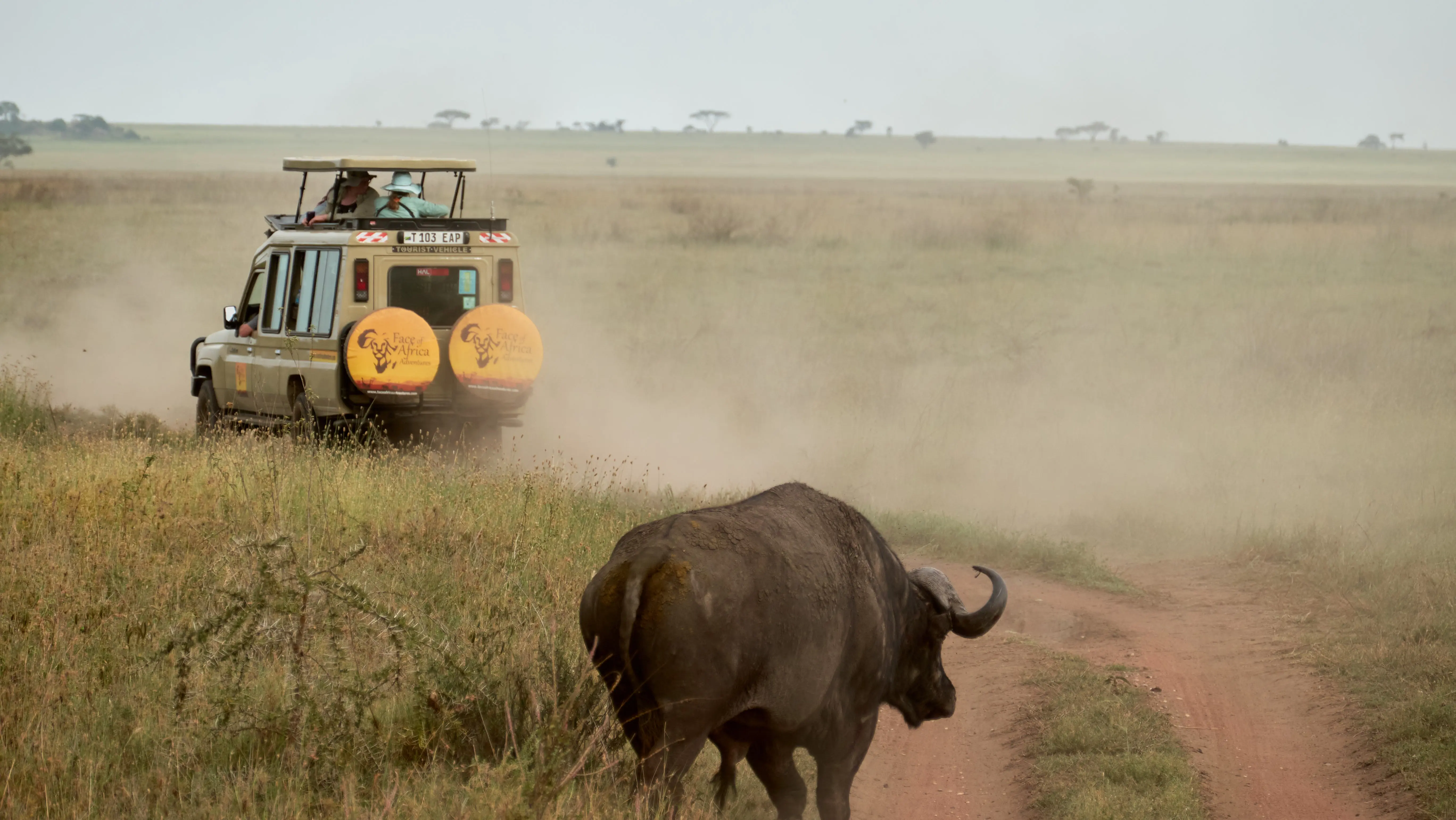 tanzania luxury safari