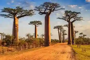 Ethiopia