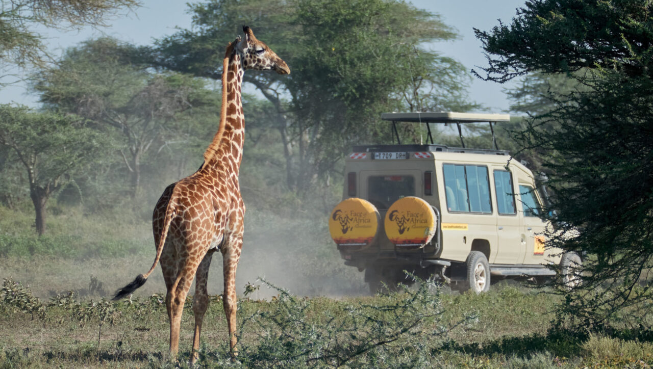 east africa safari packages