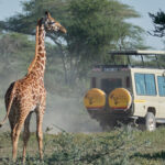 east africa safari packages