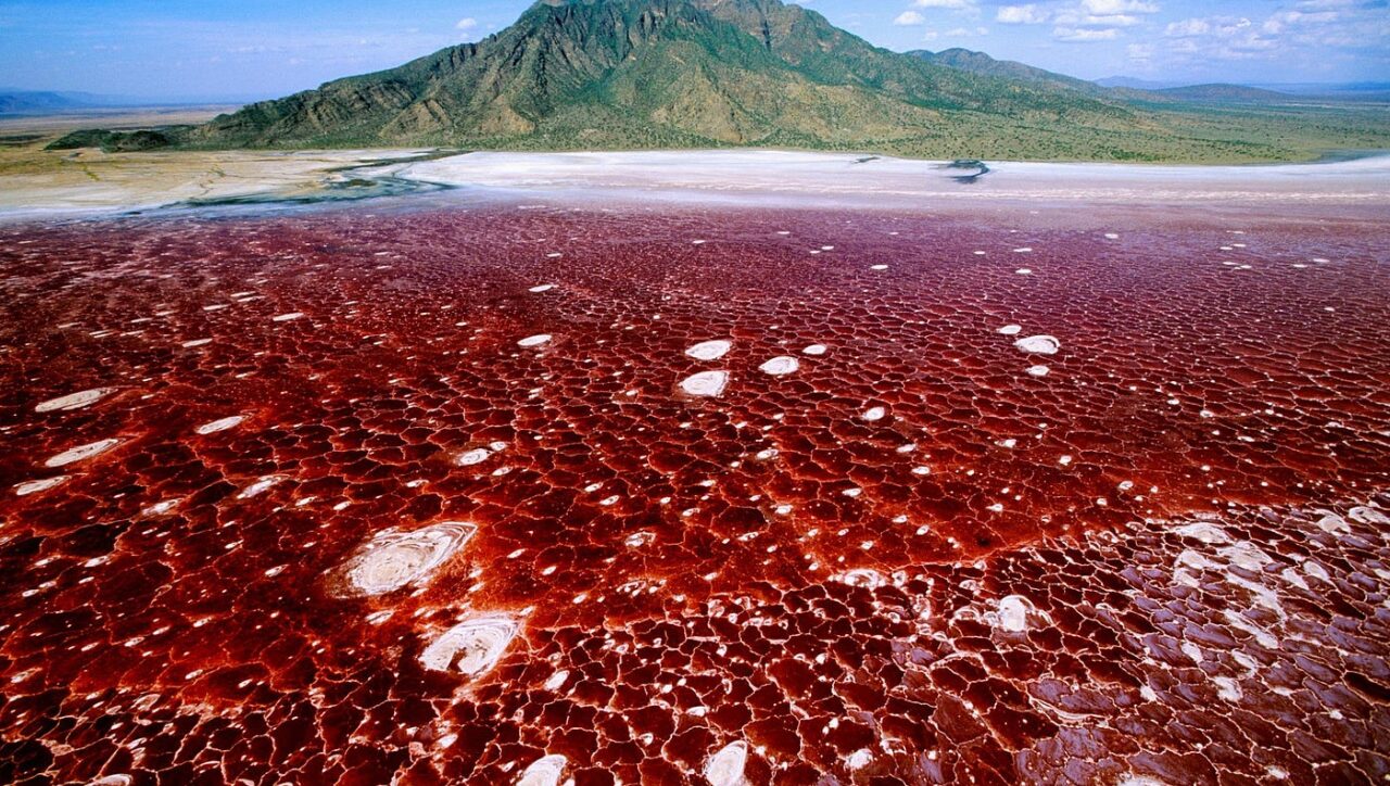 lake natron