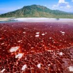 lake natron
