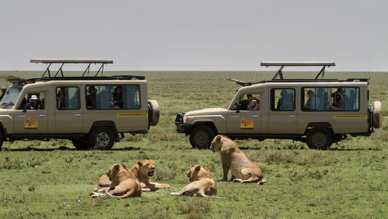 Serengeti national park