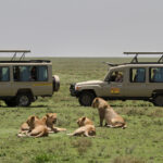 Serengeti national park