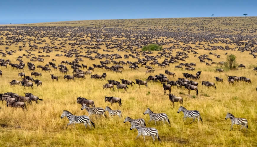 kenya safari
