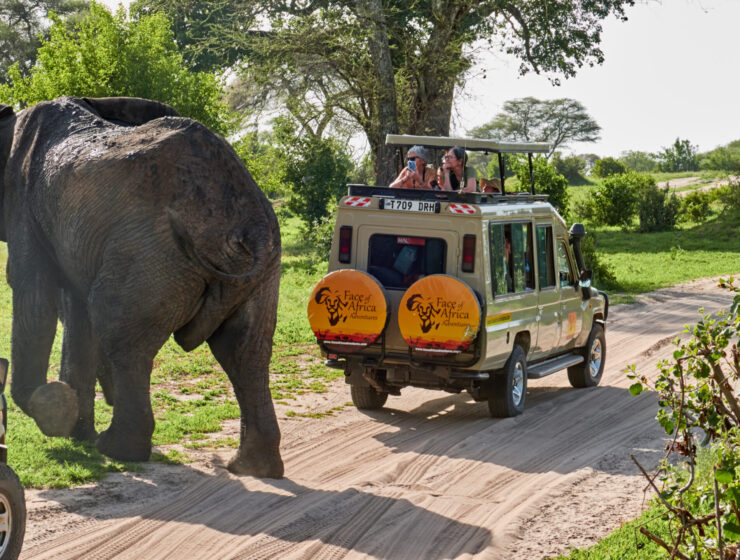 Tanzania Safari Tours