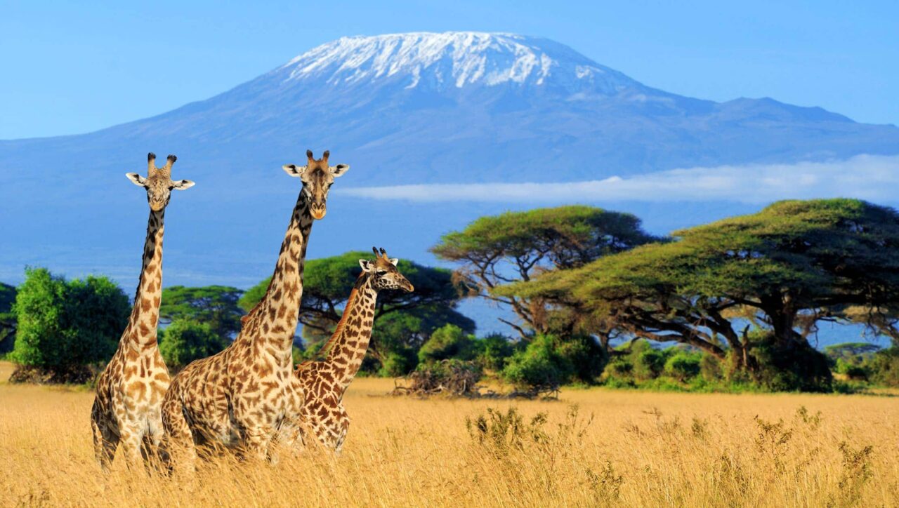 best time to climb mount kilimanjaro