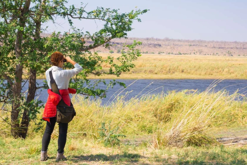 Kenya Safari