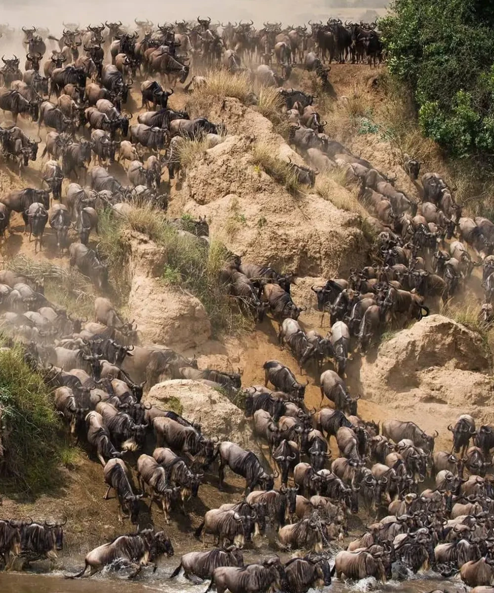 Tanzania Great Migration Safari