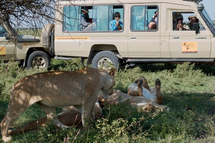 Serengeti Game drive Safari