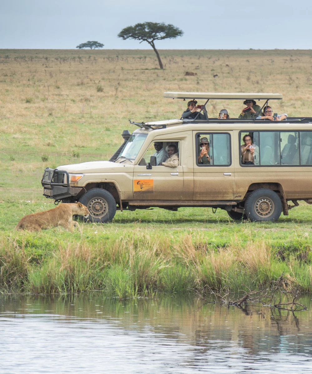 Serengeti Savannah Plains