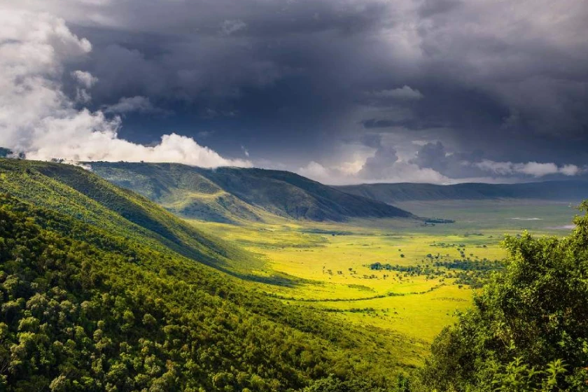 Ngorongoro Safari