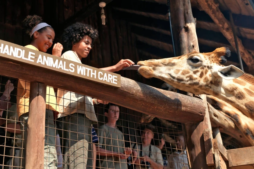 Nairobi Attractions