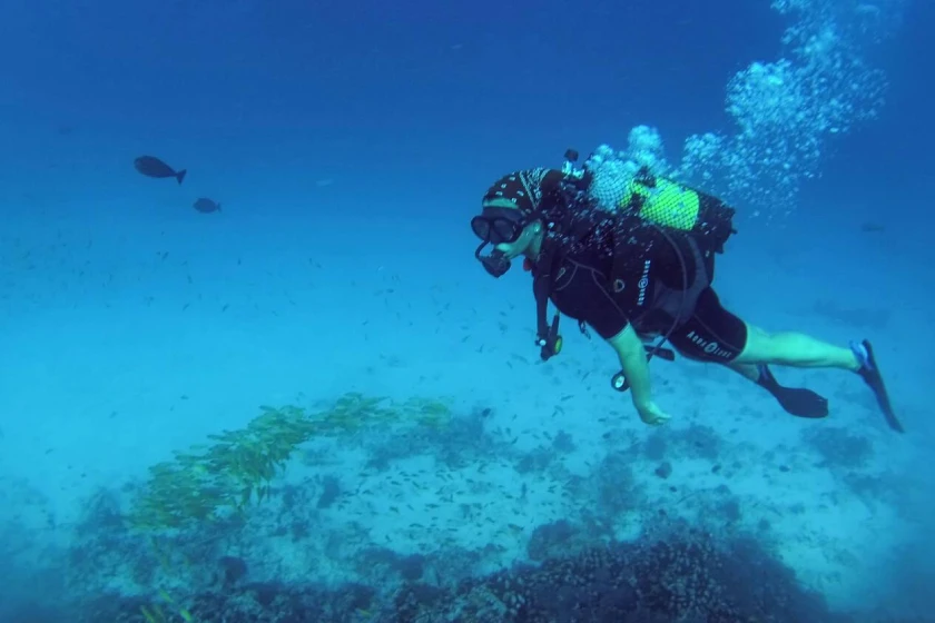 Zanzibar Snorkeling