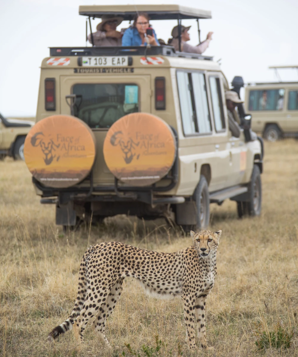 Tanzania Family Safari