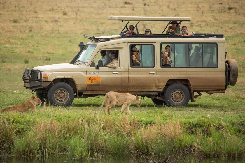 Serengeti Game drive