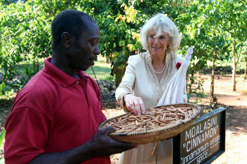 Zanzibar Spice Tour
