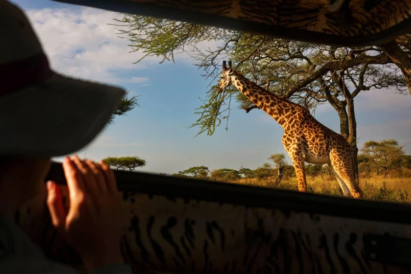 Serengeti Game Drive