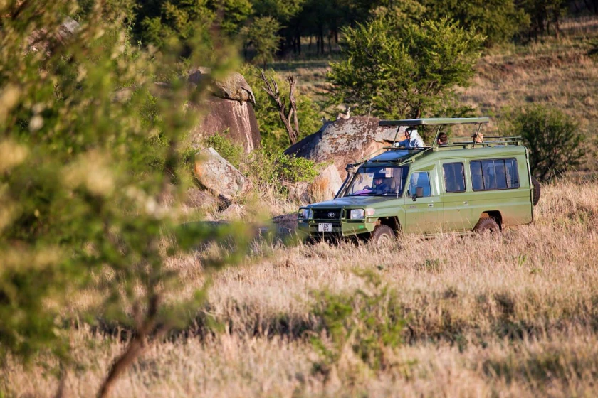 Tanzania Game Drive