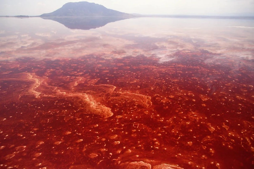 Lake Natron Attractions