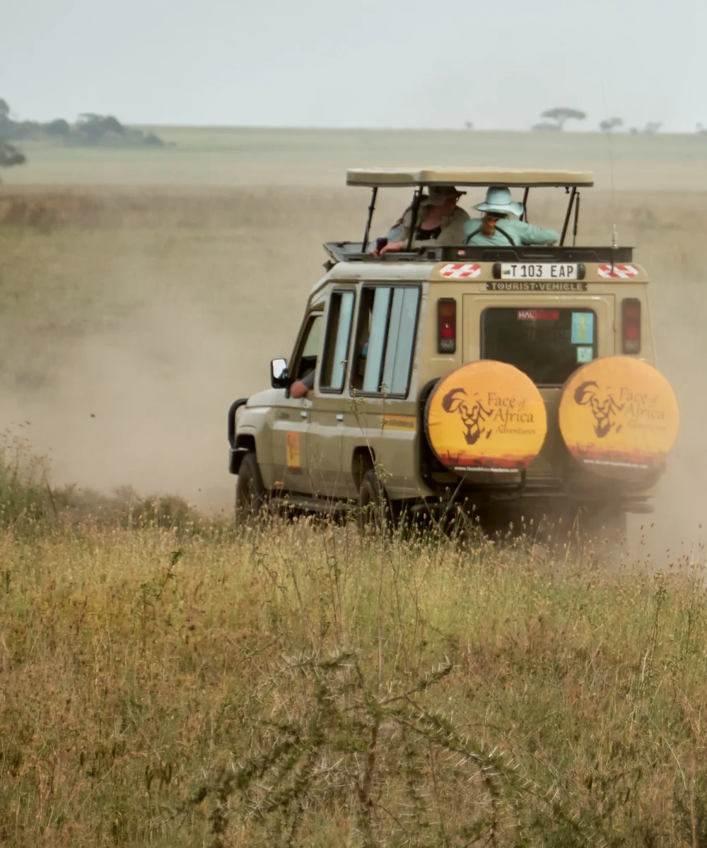 Serengeti Game drive
