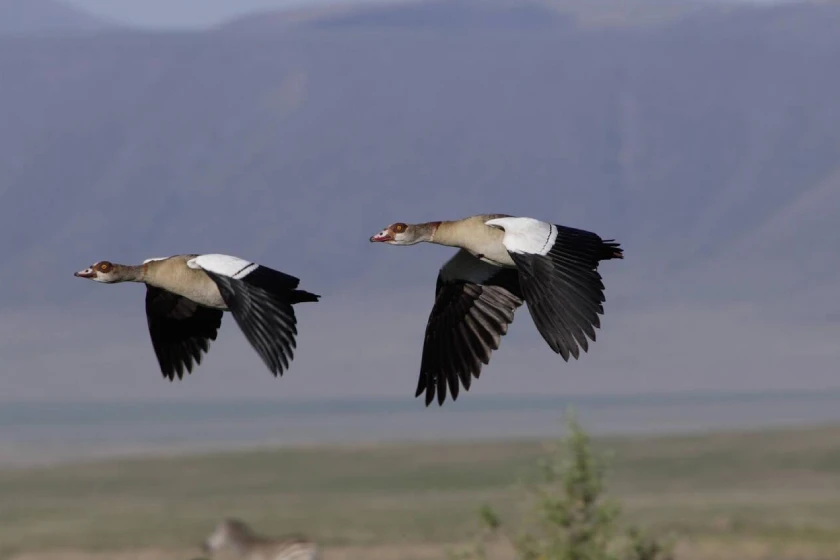 Ngorongoro Attractions