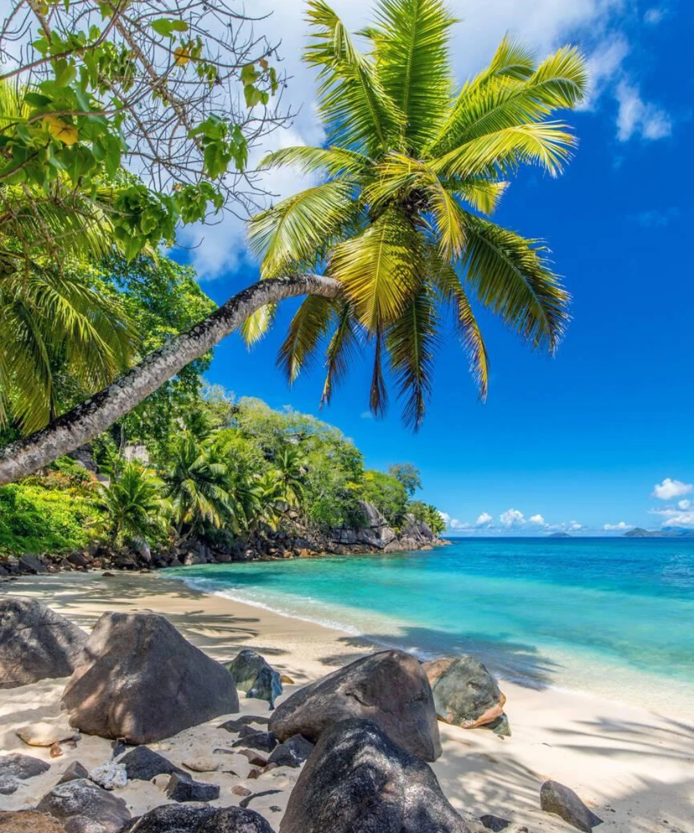 16-days-luxury-safari-seychelles-beach-escape-4