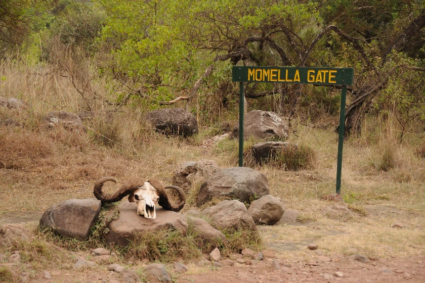 4 Days Mount Meru Climbing