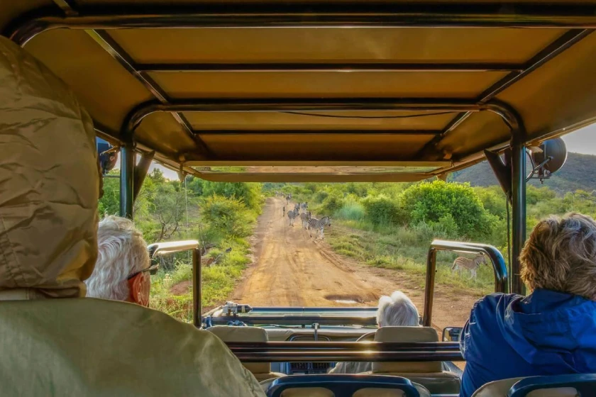 Pilanesberg National Park Game Drive Safari