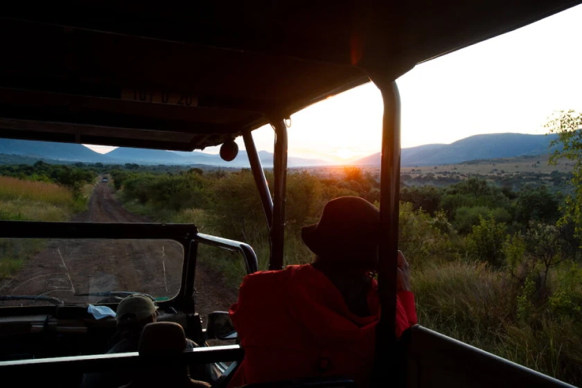 Pilanesberg National Park Game Drive