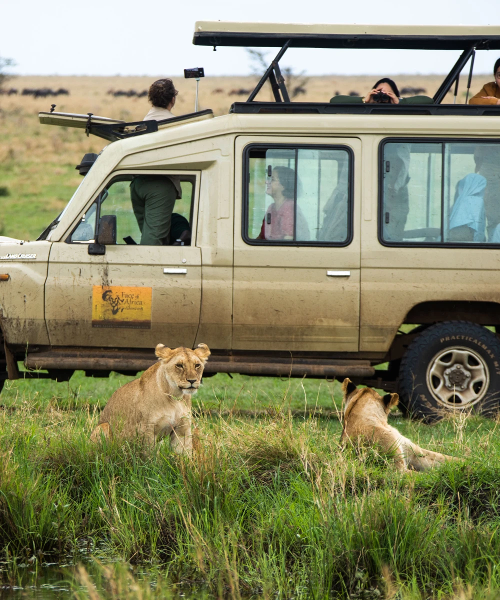Serengeti Game drive