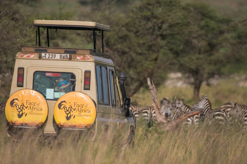 Serengeti Game drive