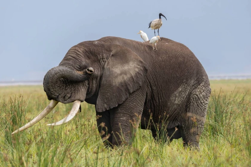 Ngorongoro Attractions