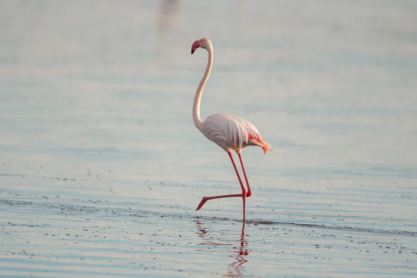 ke Manyara Attractions