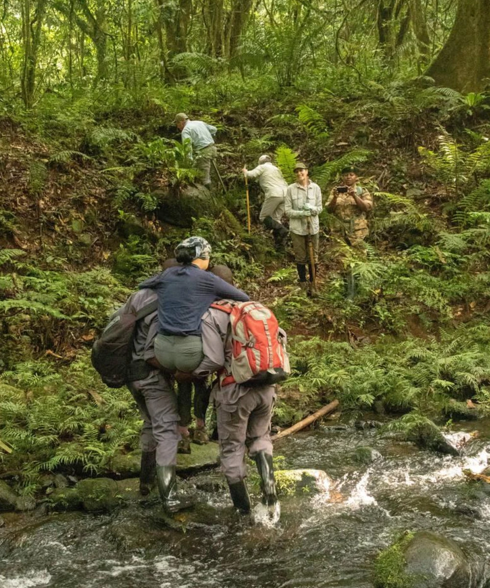 Uganda Walking Safari